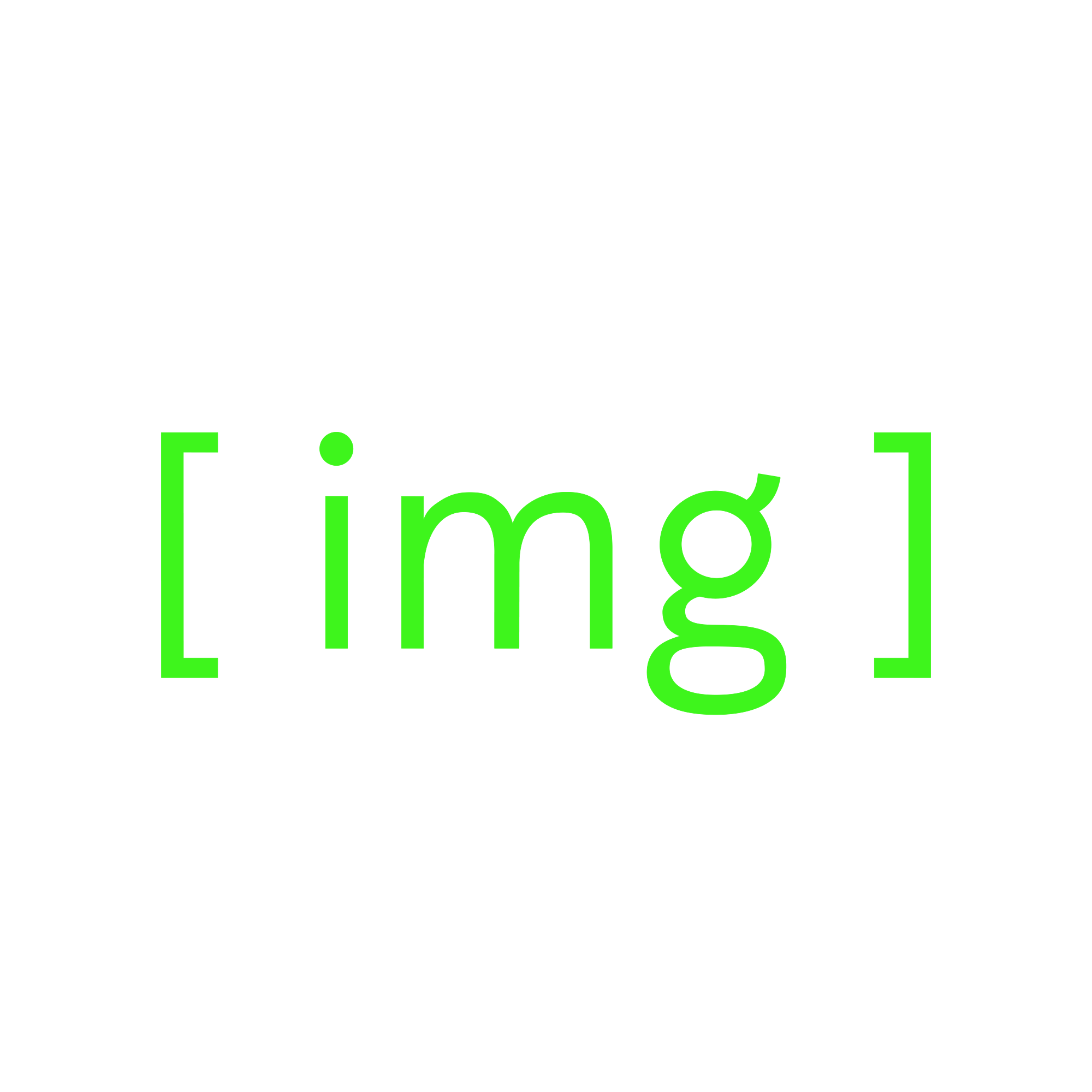 IMG logo